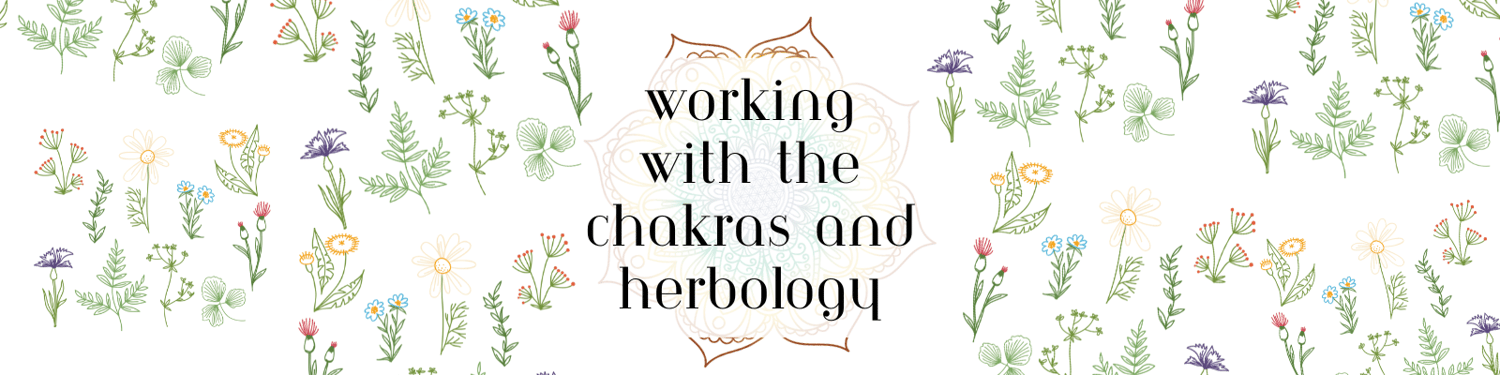 stacie rae chakras, coach, author, the last letter, the resting travelelr