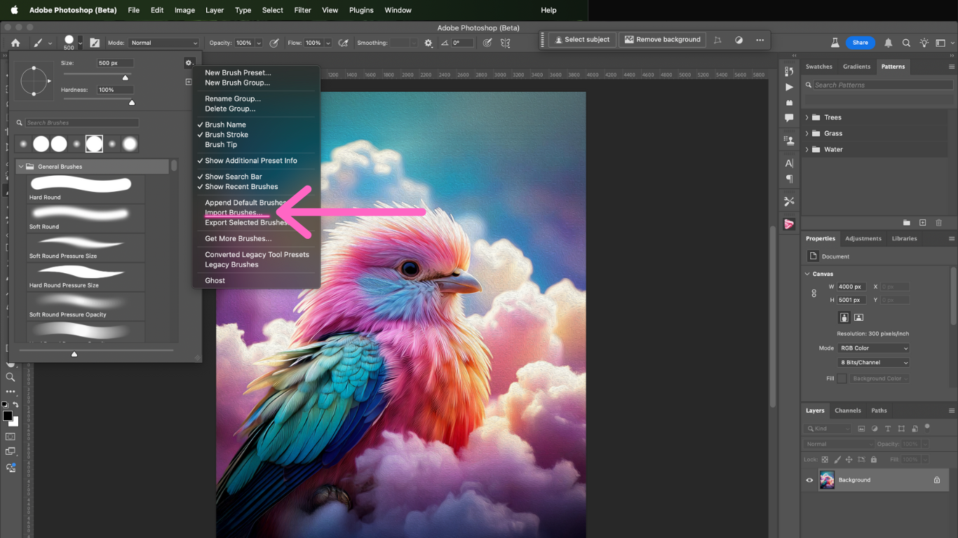 import photoshop brushes
