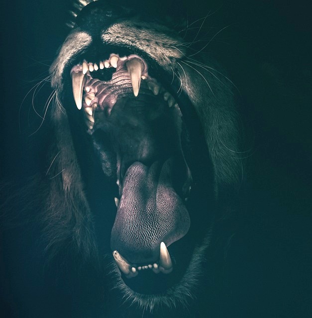 León-dientes-rugido