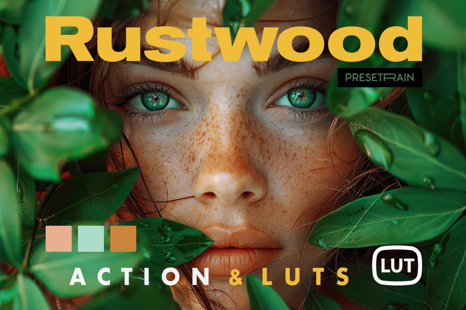 Rustwood Action & LUTs cover