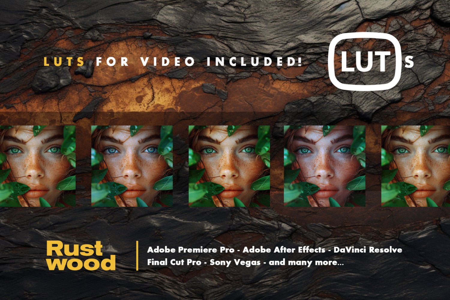 Rustwood video LUTs - preview 5