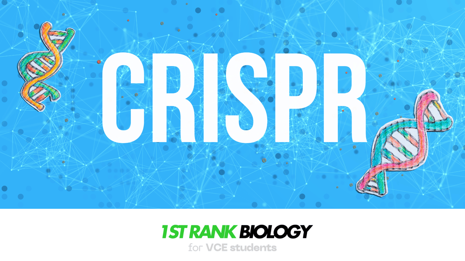 CRISPR VCE Biology 1st Rank