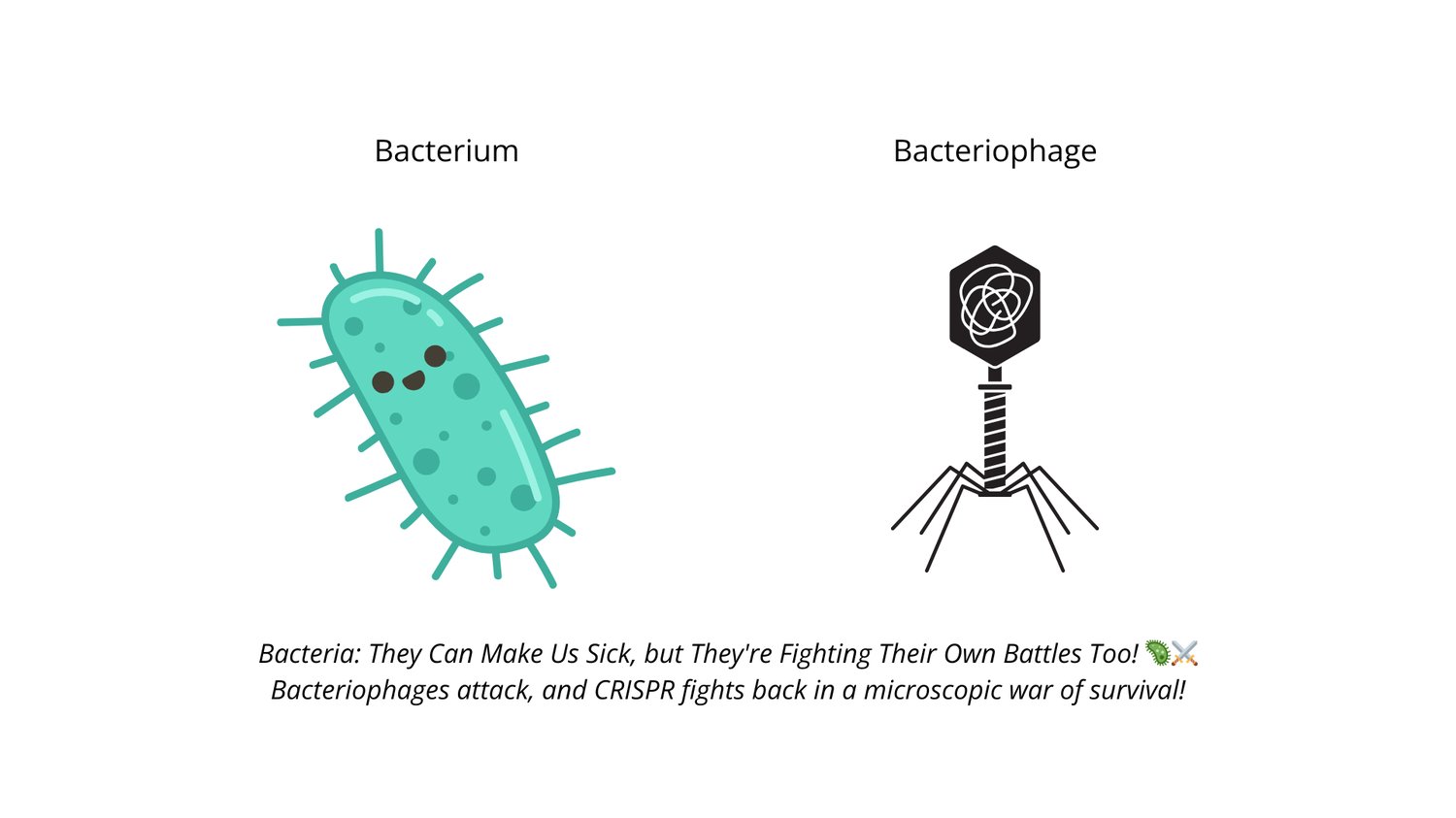 Bacterium and Bacteriophage CRISPR Bacteria Prokaryotes