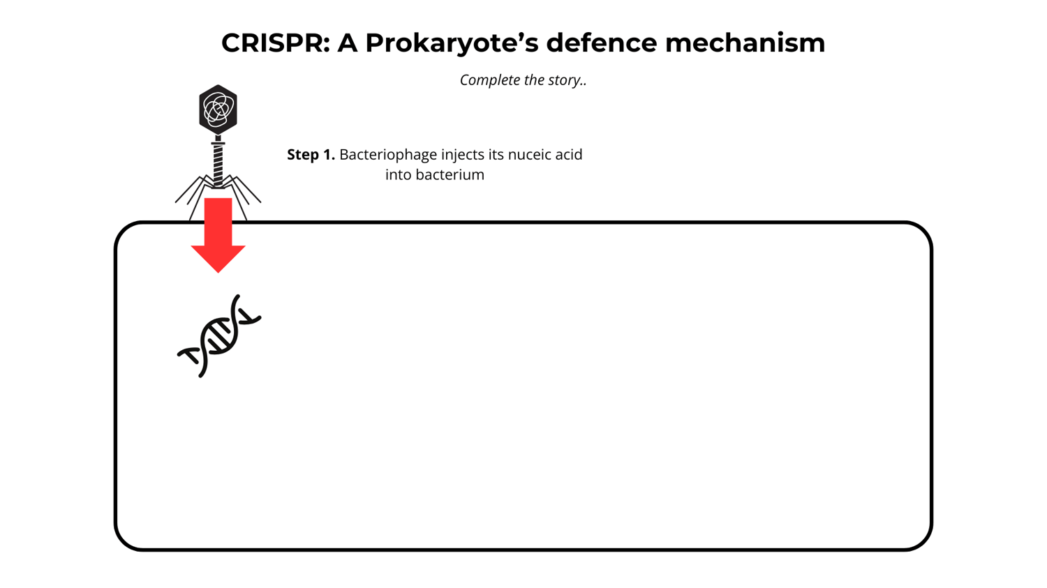 learn CRISPR VCE Biology