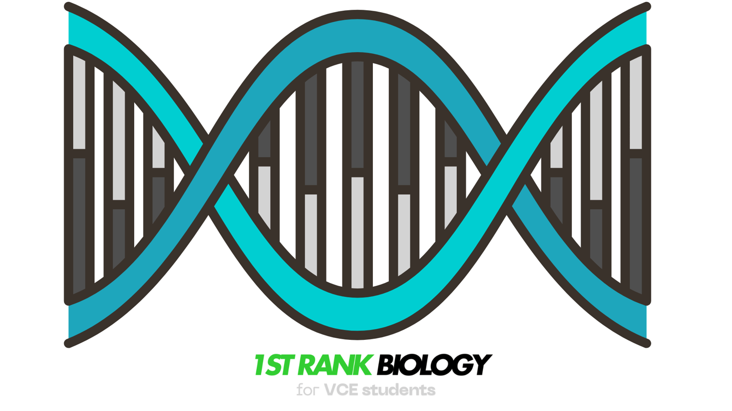 gene regulation trp operon repression attenuation