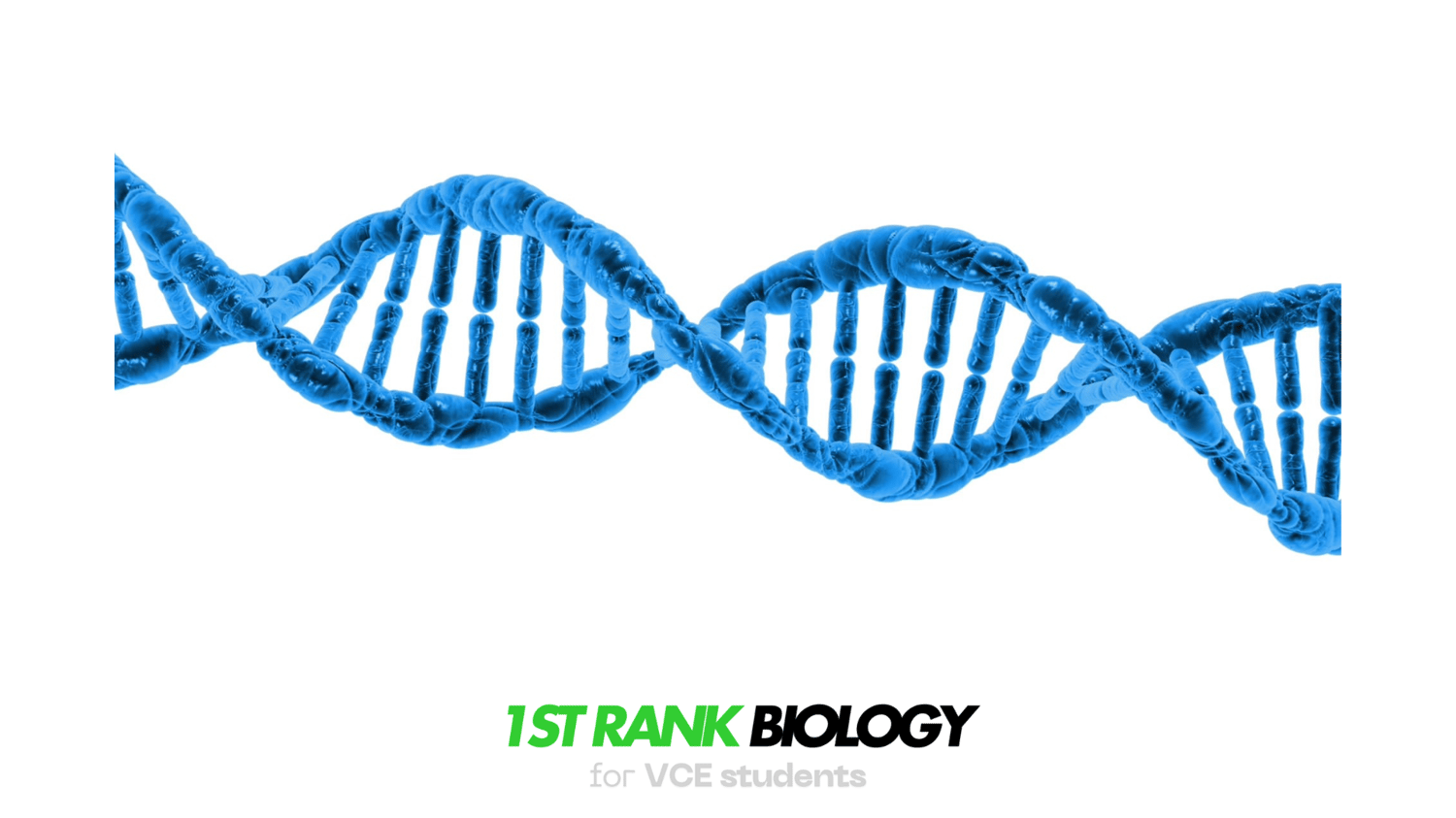 DNA double helix and base pairing DNA to protein