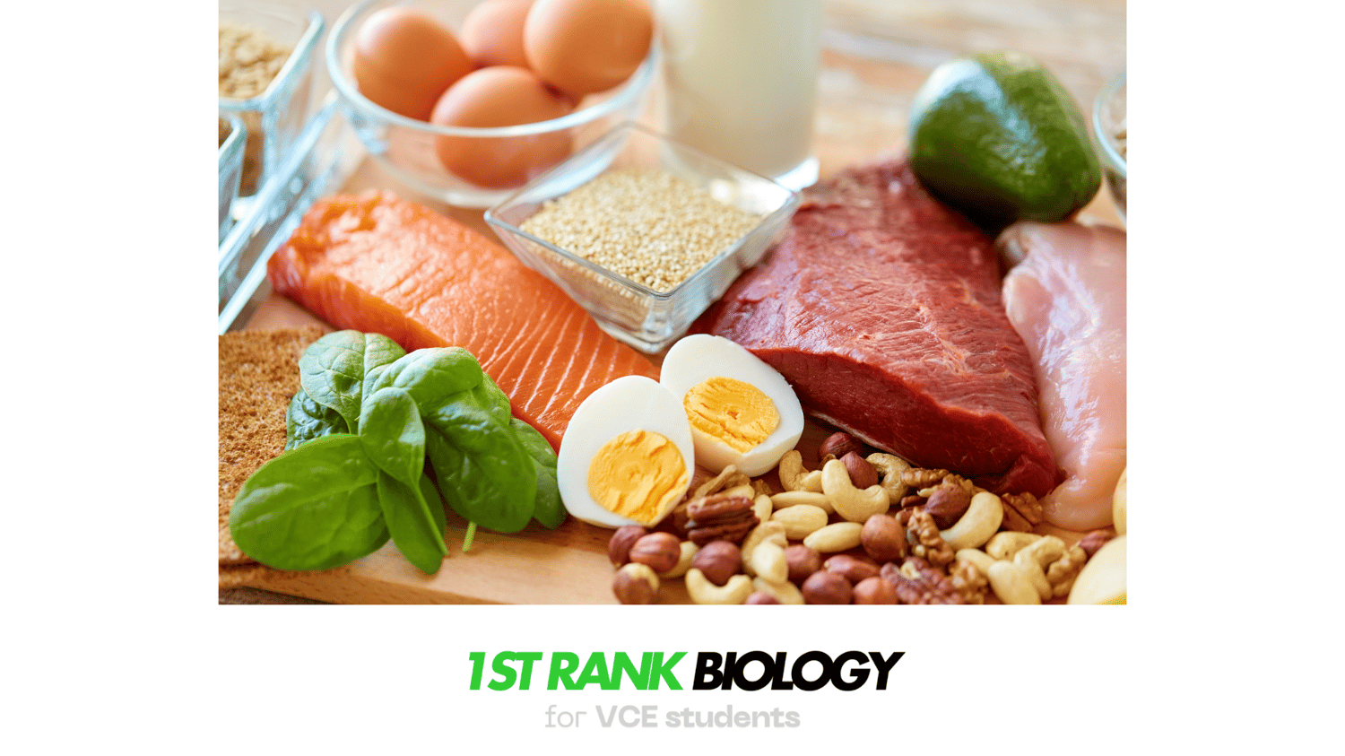 proteins VCE Biology study tips