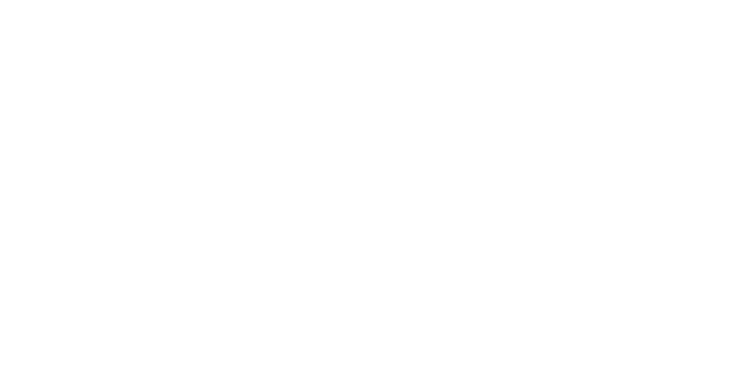 Vision Coach Logo