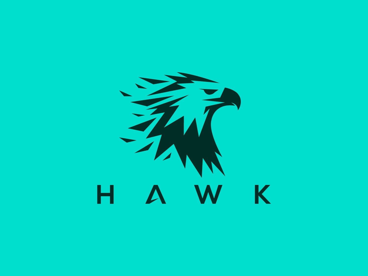 Hand-illustrated hawk logo with a fierce and dynamic design, ideal for branding, merchandise, and business identity.