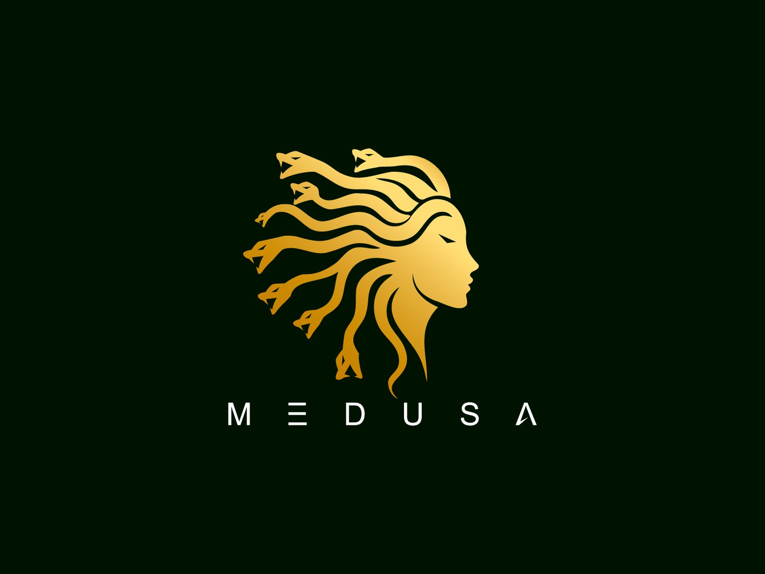 Hand-illustrated Medusa logo with a powerful and mythical design, ideal for branding, luxury businesses, and merchandise.