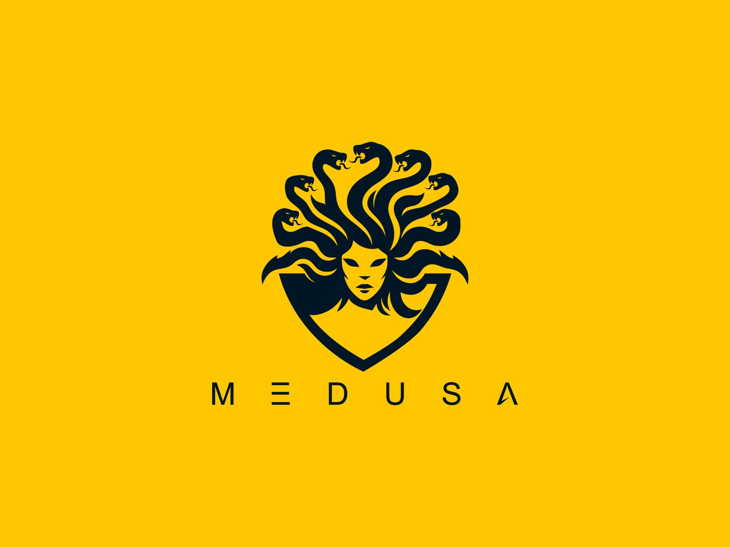 Hand-illustrated Medusa logo with a powerful and mythical design, ideal for branding, luxury businesses, and merchandise.