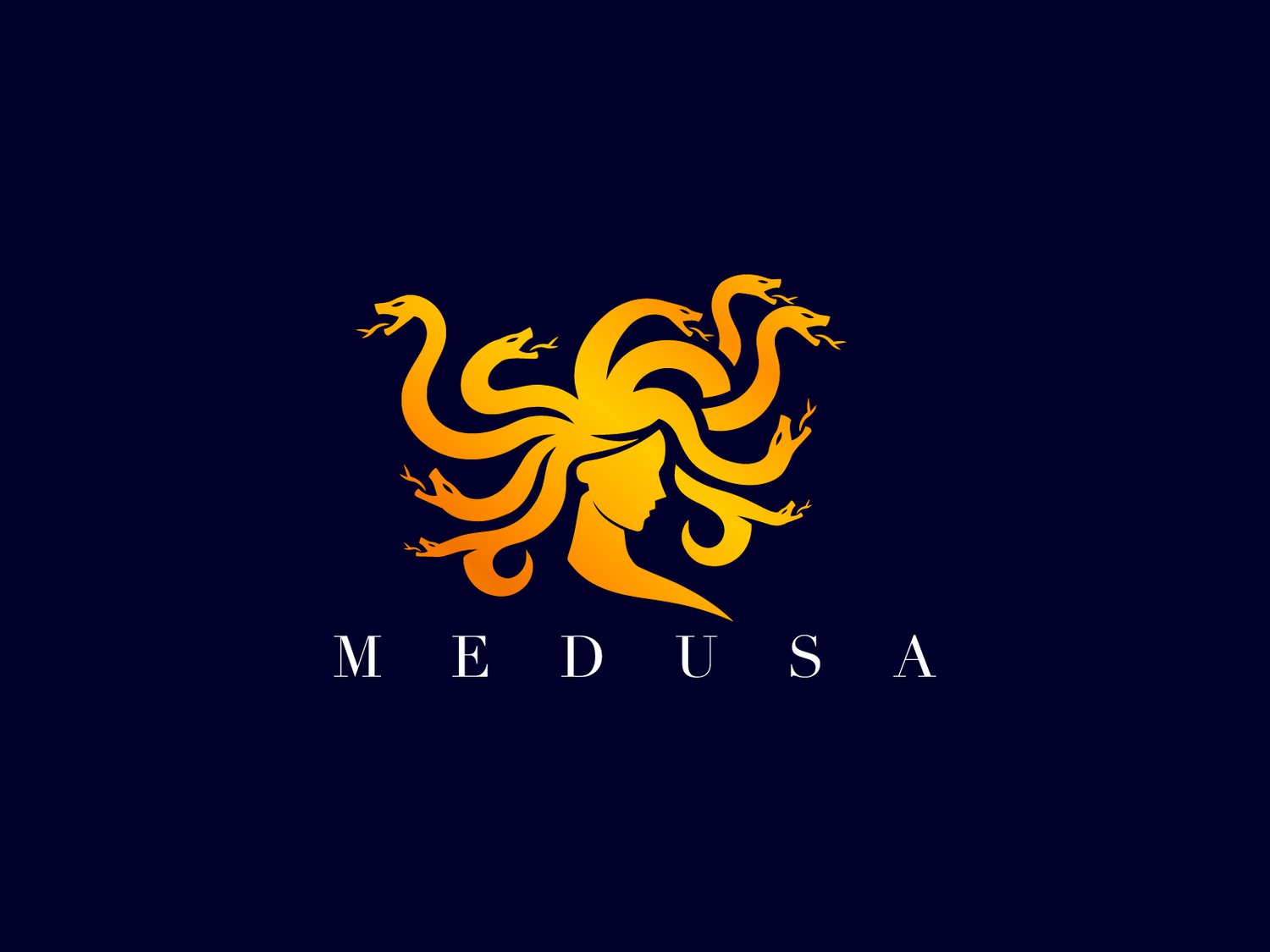 Hand-illustrated Medusa logo with a powerful and mythical design, ideal for branding, luxury businesses, and merchandise.