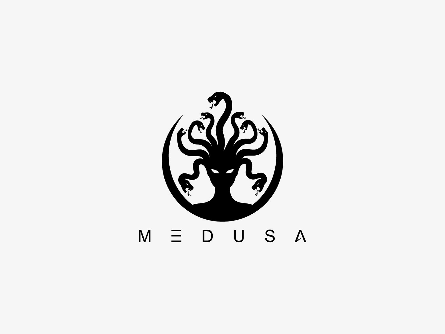 Hand-illustrated Medusa logo with a powerful and mythical design, ideal for branding, luxury businesses, and merchandise.