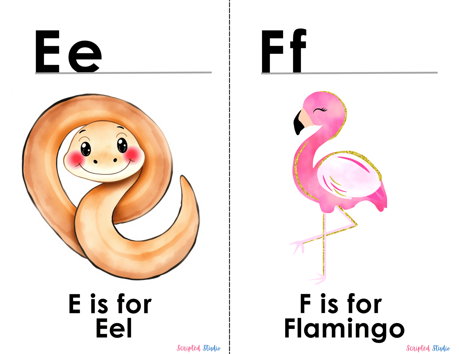(ABC Watercolor Uppercase, and lowercase 2 flashcards an eel and a  flamingo)