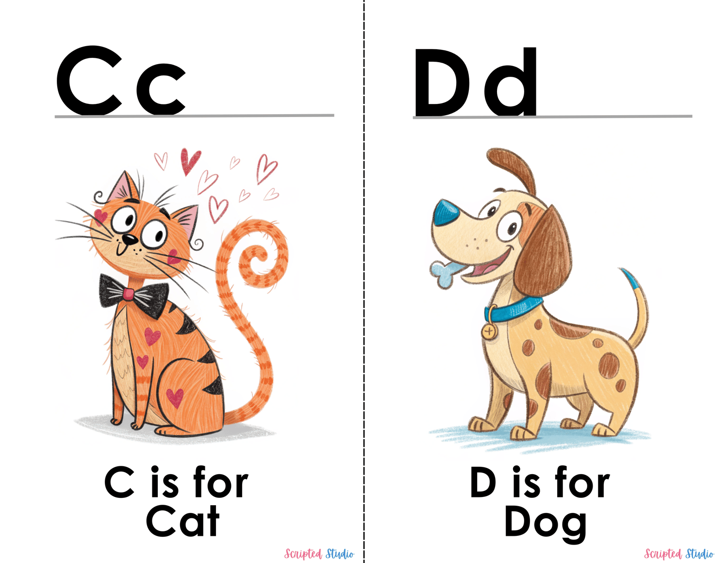 (ABC doodle Uppercase, and lowercase 2 doodle animal image flashcards C for a cat and D for a dog)