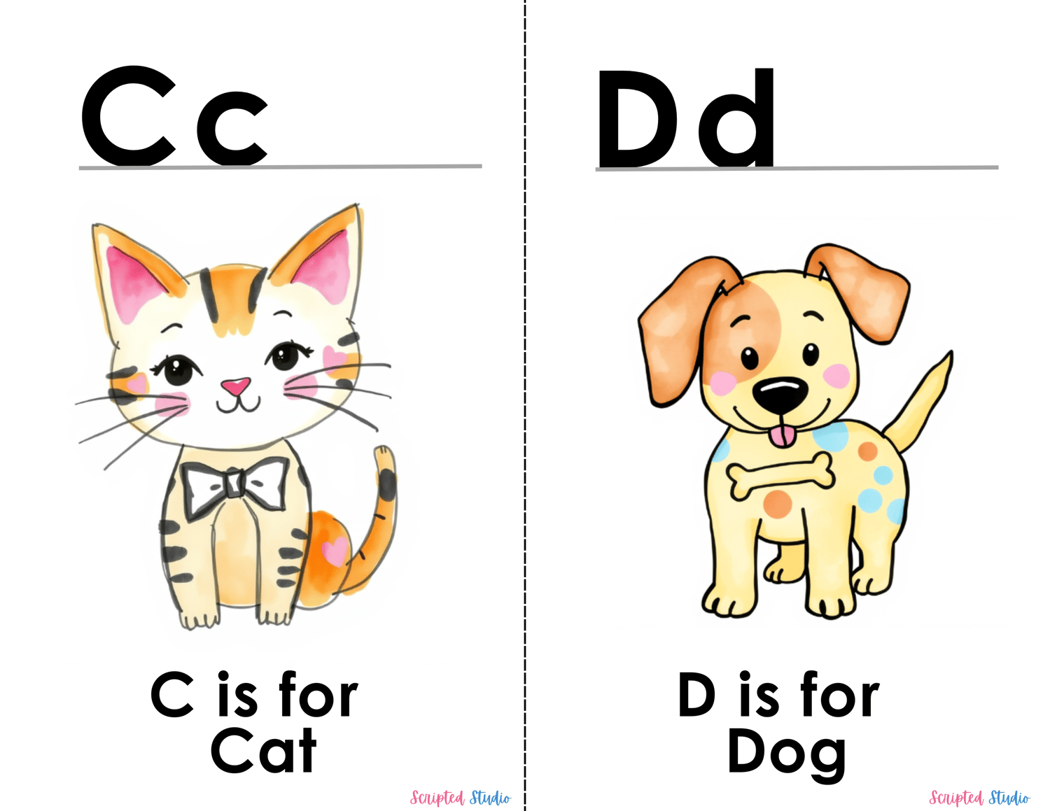 (ABC Watercolor Uppercase and lowercase two flashcards C is for a cat,  D is for a dog with a bone)