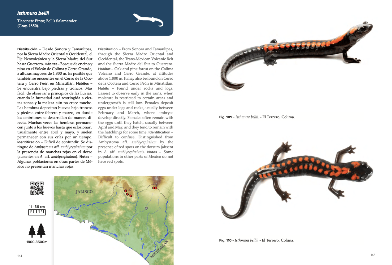 Photographic Field Guide to the Amphibians and Reptiles of Colima ...