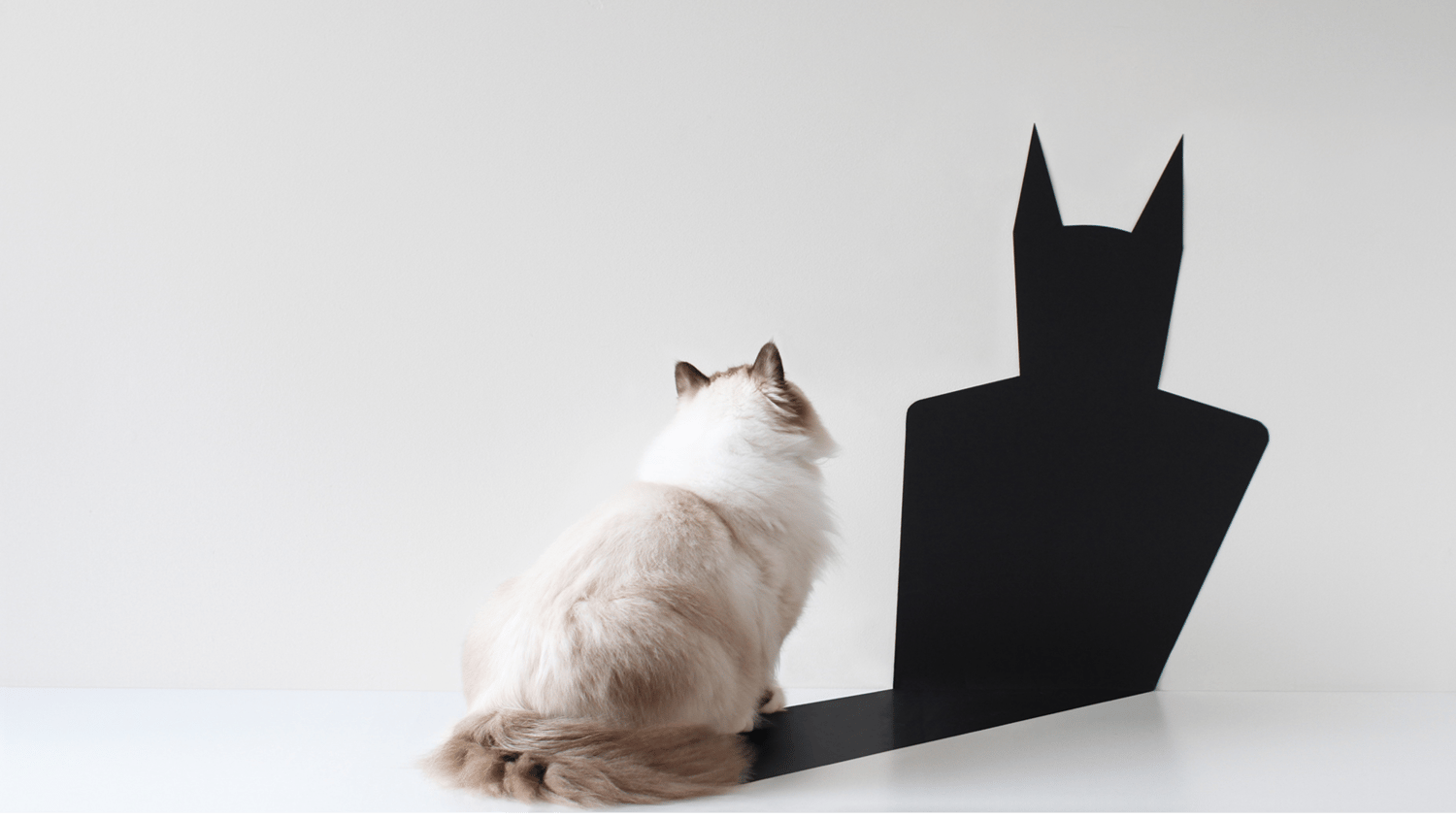 Fotogrāfija ar kaķi, kuram ir Betmena ēna