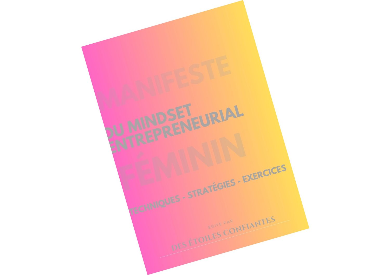 ebook mindset business femme entrepreneurs