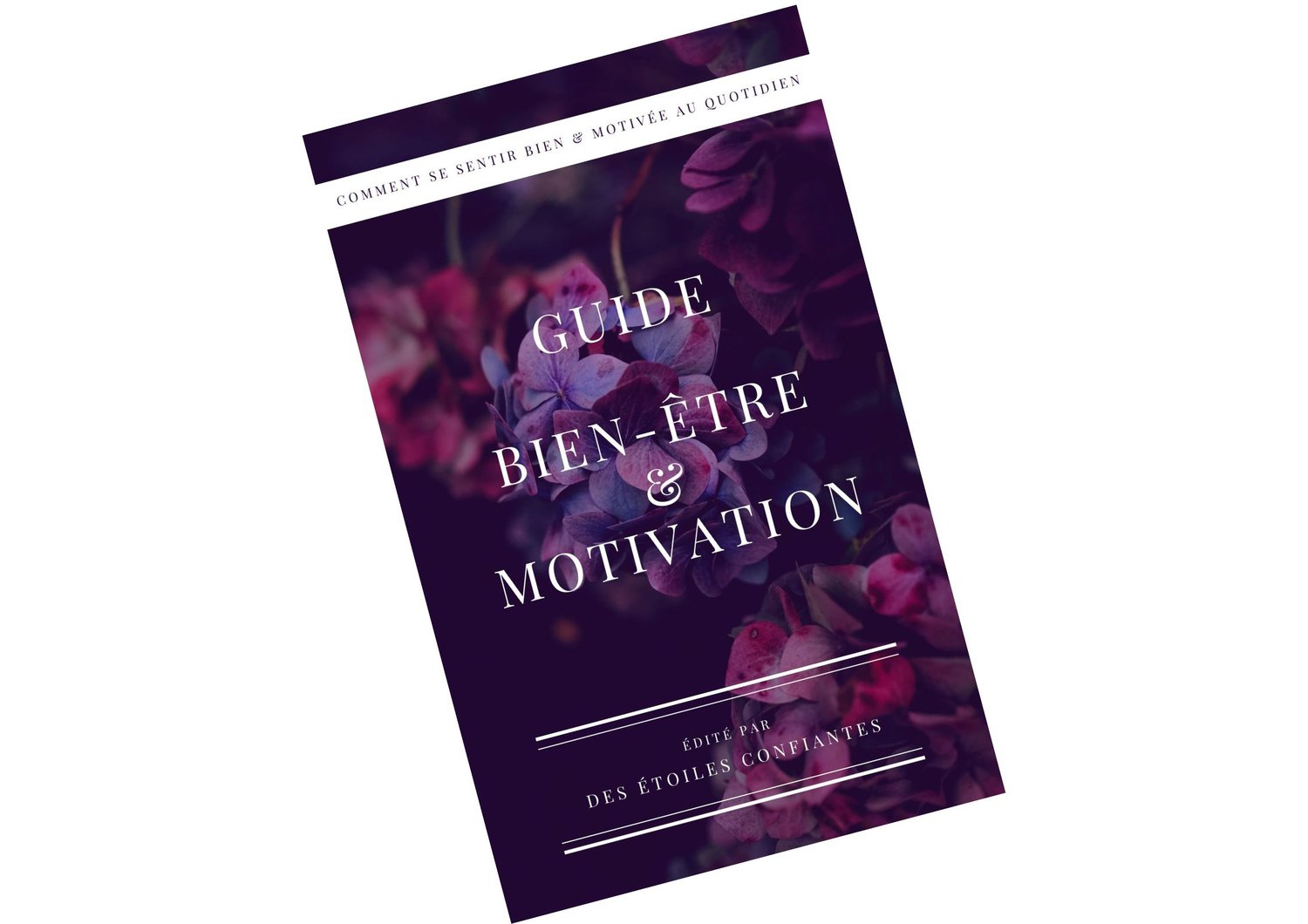 ebook bien-être motivation business