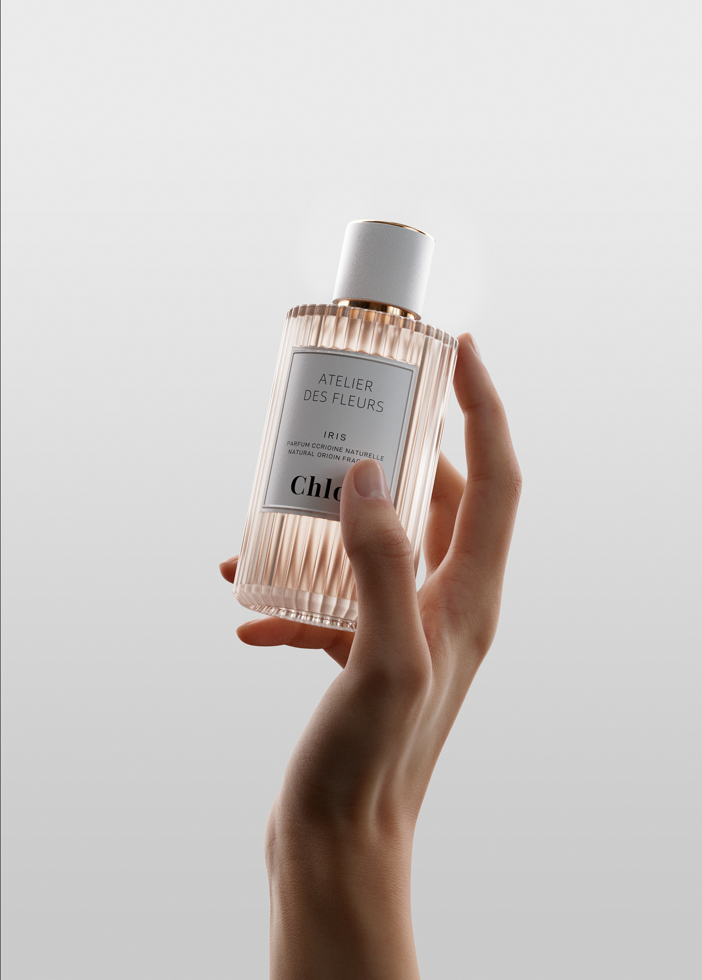 C4D and octane perfume projects file rendering