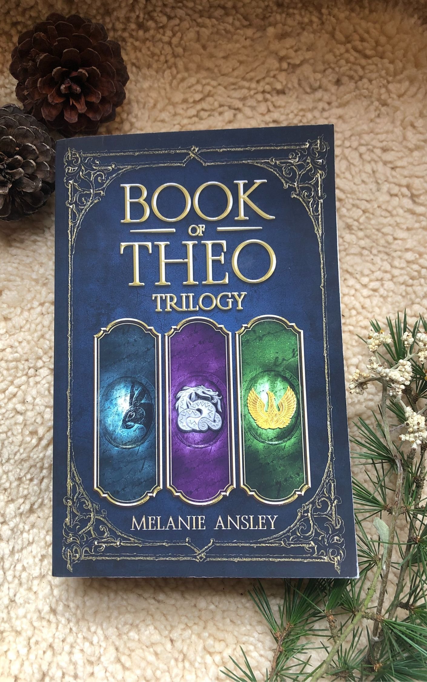 Book of Theo fantasy trilogy