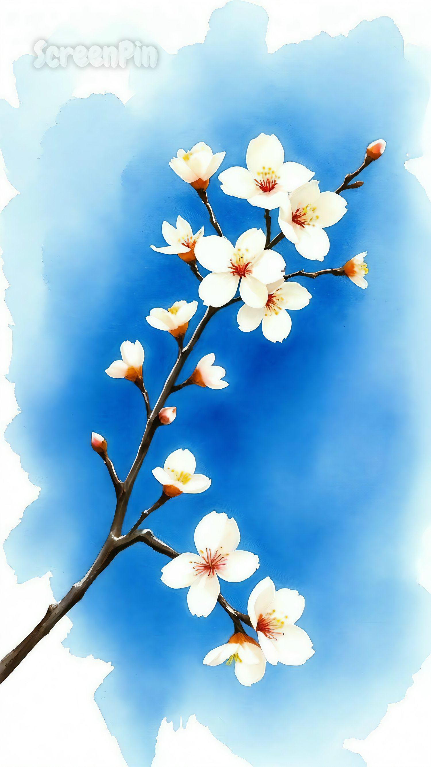 A cherry blossom branch with pink flowers against a vibrant azure background.