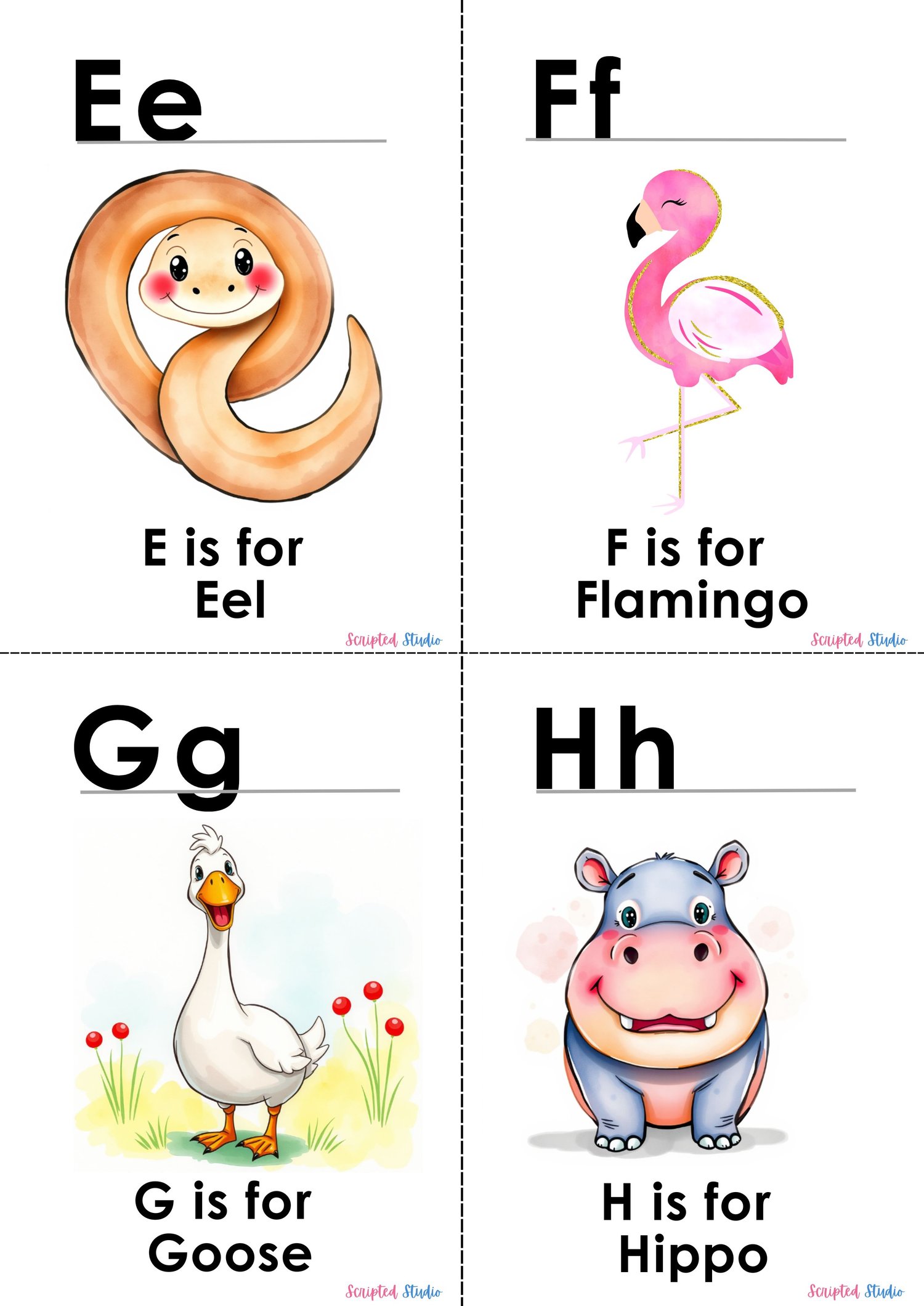 (ABC Watercolor Uppercase, and lowercase 4 flashcards an eel and a  flamingo), hippo and goose