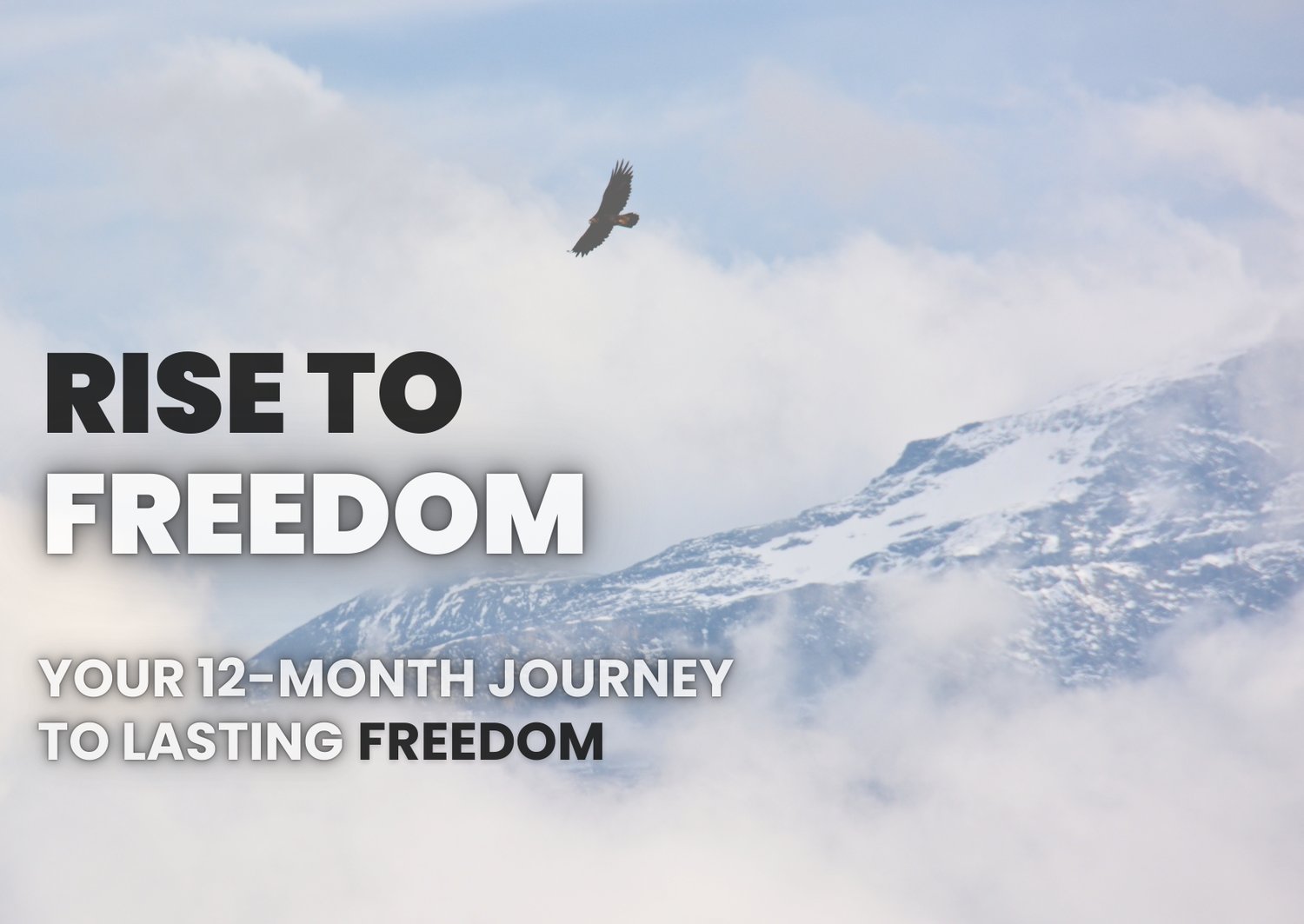 Rise to Freedom - Online Addiction Recovery Program - Your 12-Month Journey to Lasting Freedom