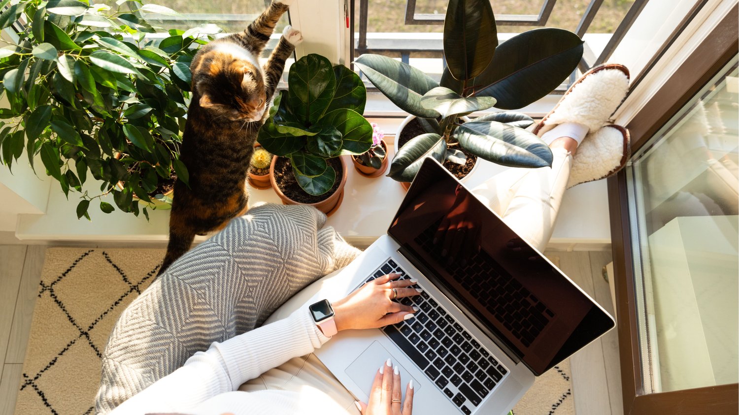 Health coach working on a laptop by a sunny window, surrounded by houseplants and a curious cat—illustrating a calm, balanced workspace for content planning and business growth.