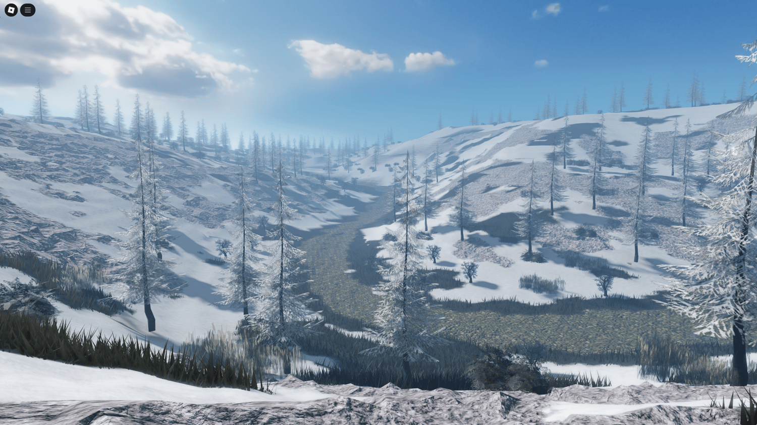 Forested alpine area with detailed trees, roads, and a natural map barrier