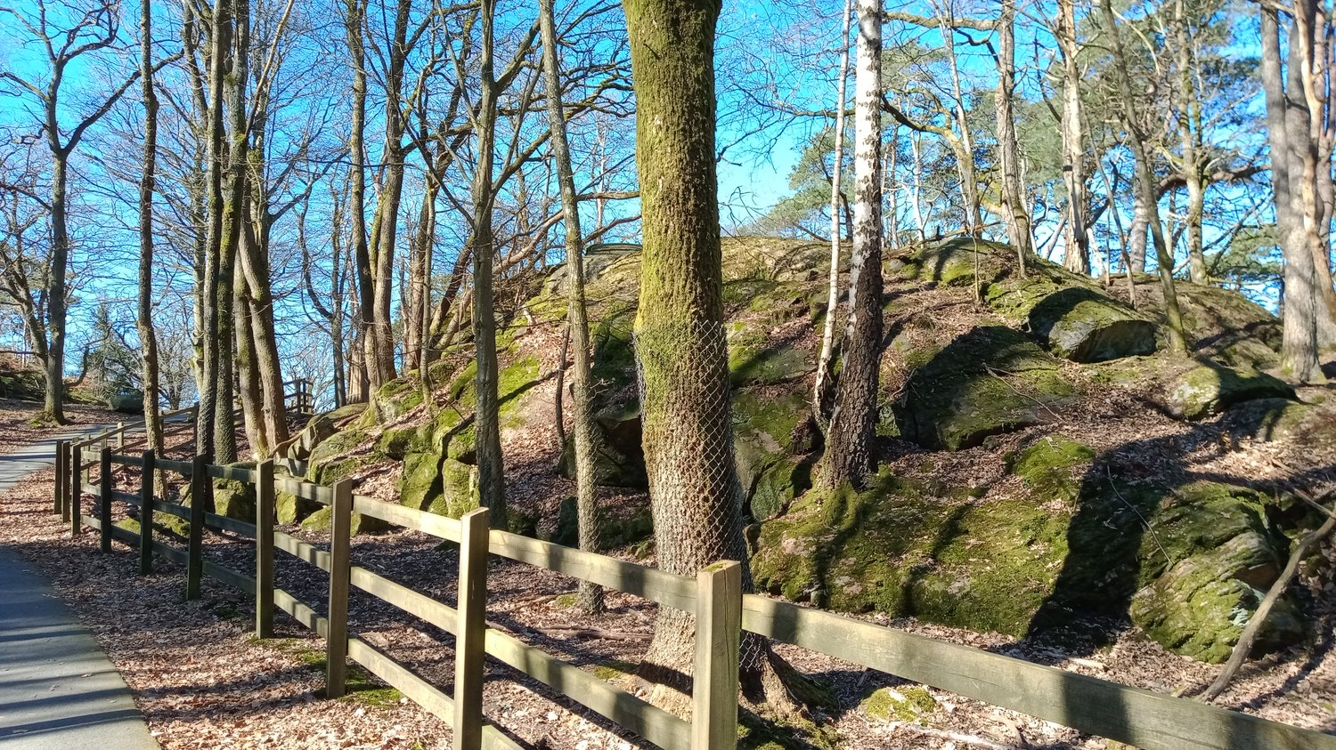 Slottskogen