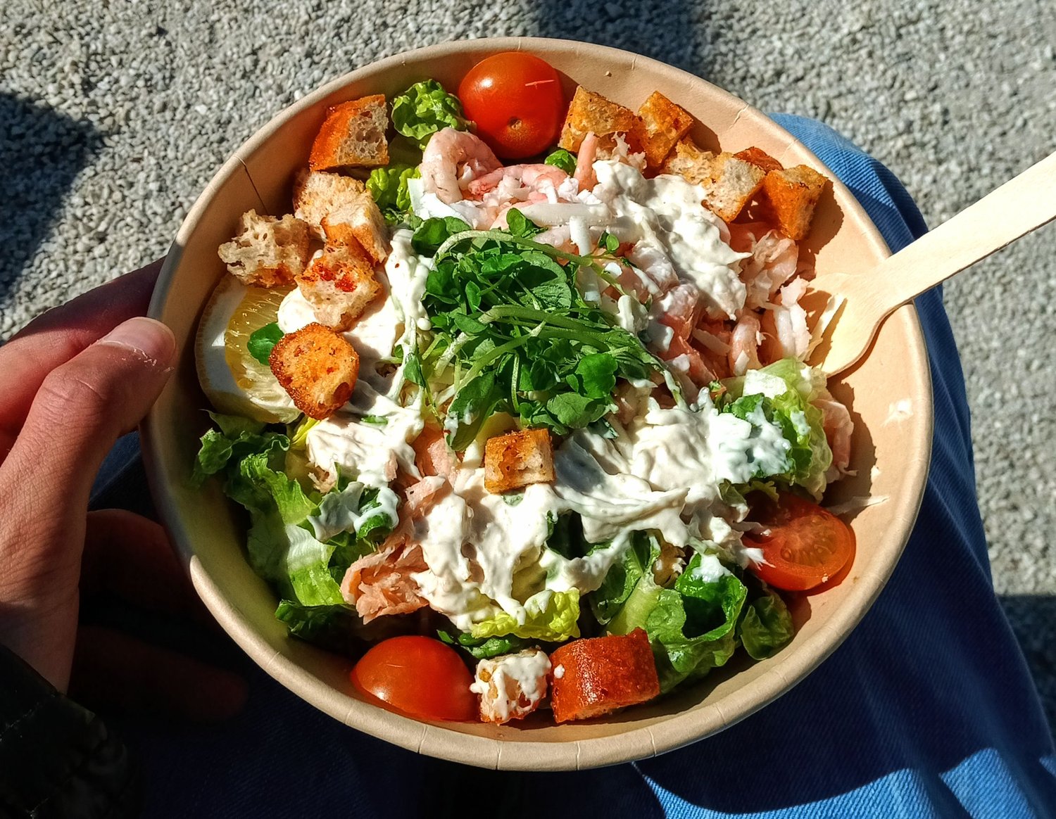 Salmone