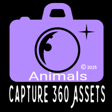 Digital Images for sale of Animals