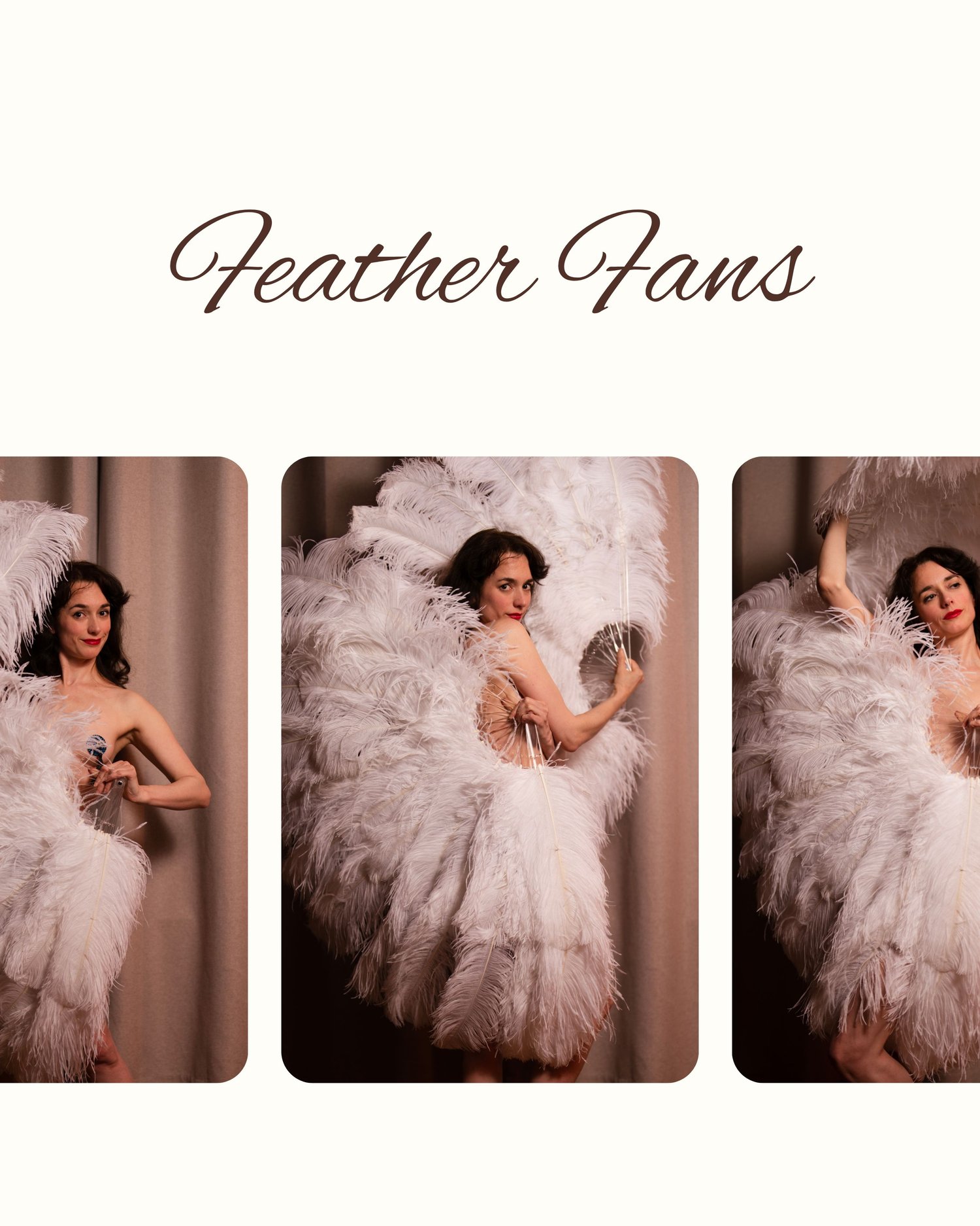My New Feather Fans - Payhip