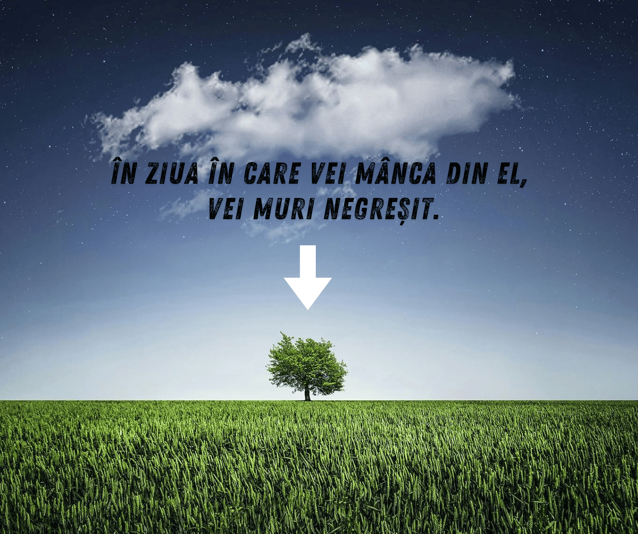Despre rau si bine -  de Daniel F. Mihoc