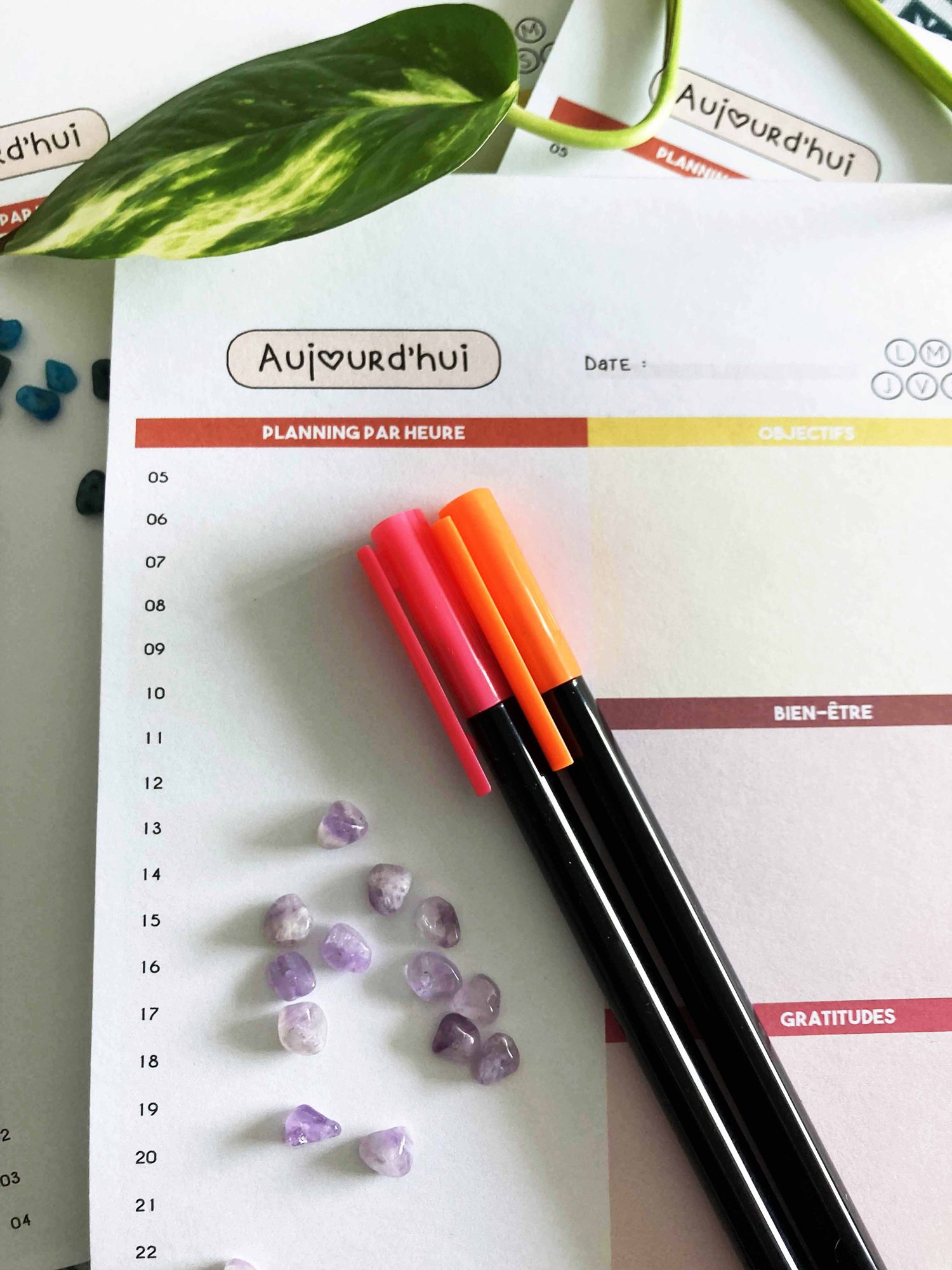 planificateur quotidien