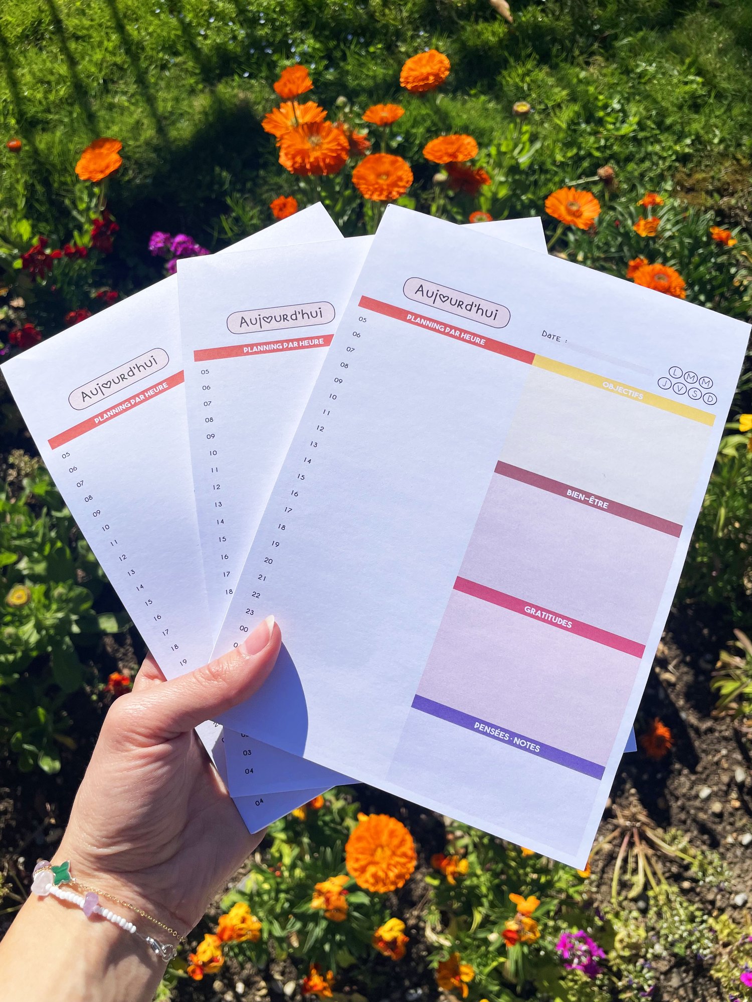 Planners quotidiens colorés