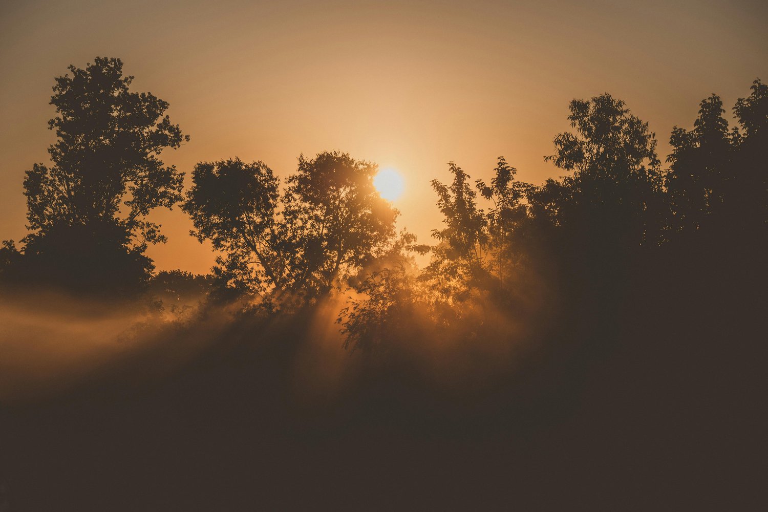 Sunrise, a new day, hope