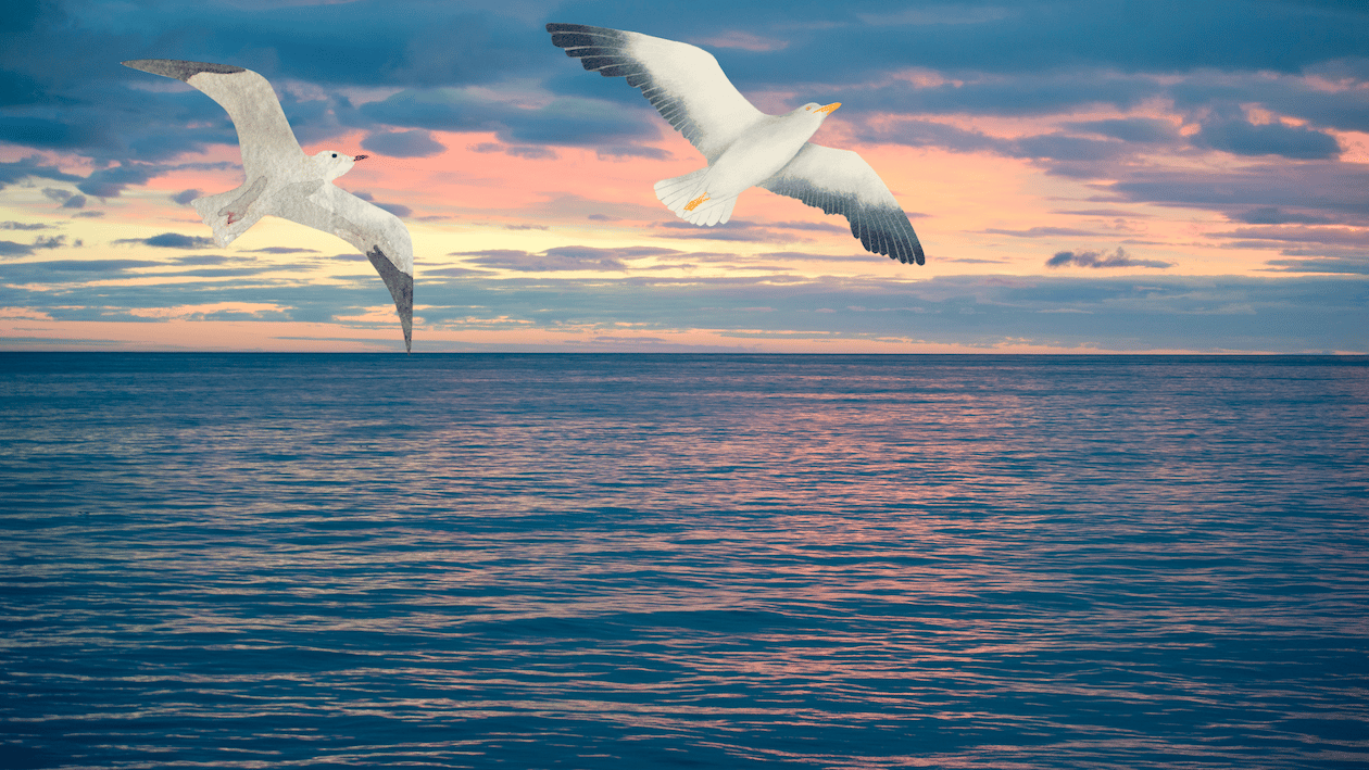 water is life. life is freedom of choice, balance and recreation.