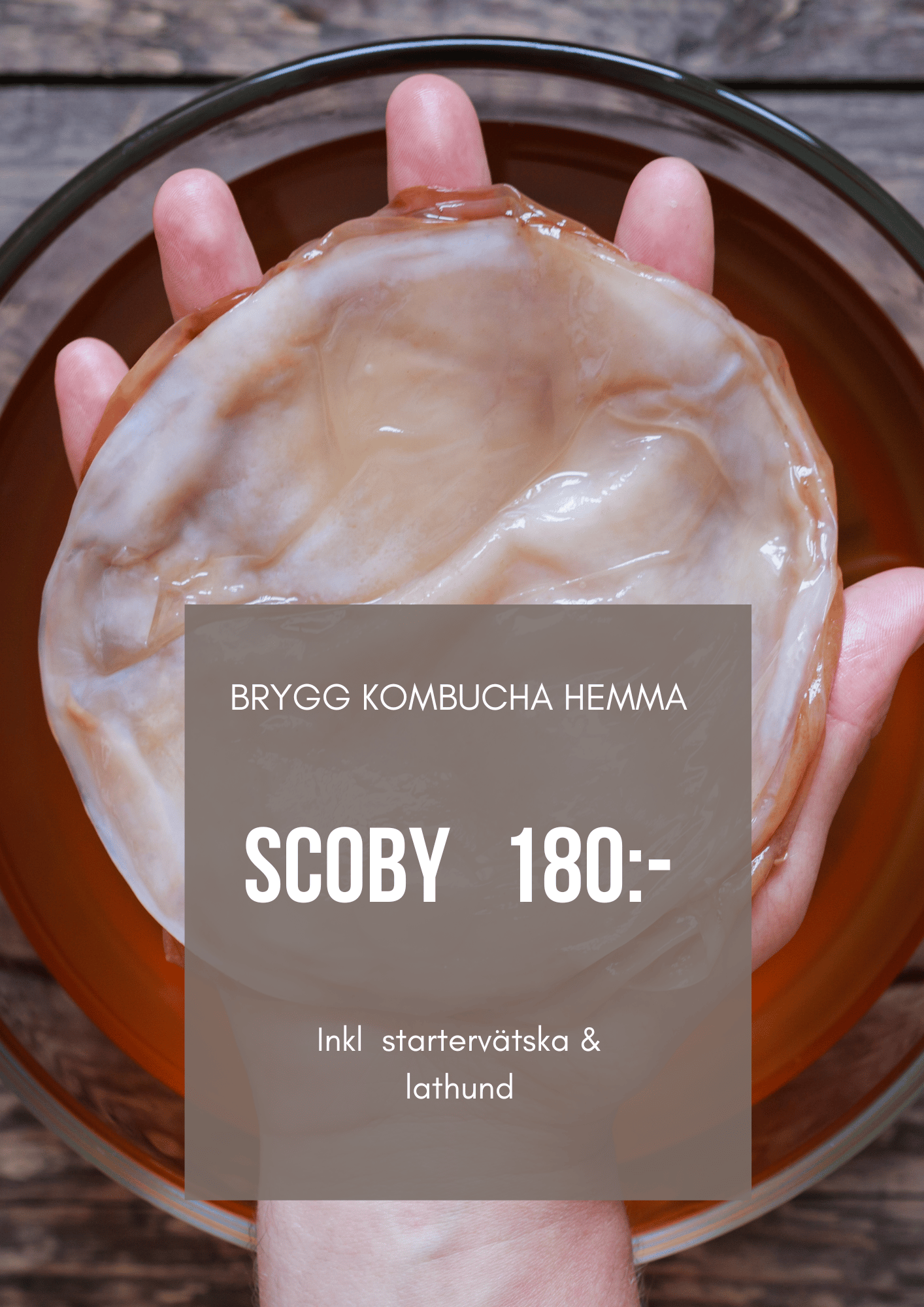 scoby