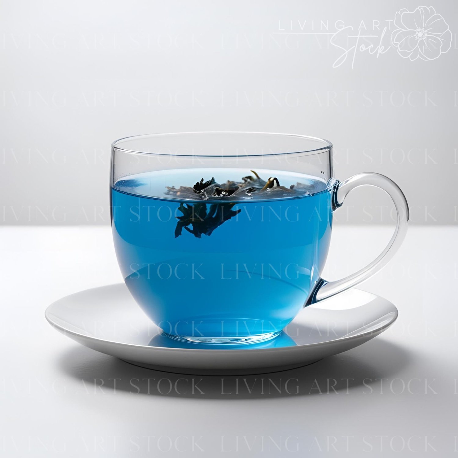 Blue pea flower tea in glass mug, stock photo