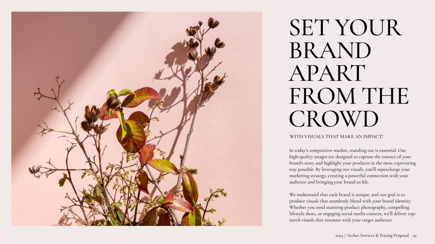 A photo of dried flower stems casting shadows against a light pink background, beside text that reads Set your brand apart from the crowd with additional descriptive text below on branding strategies.