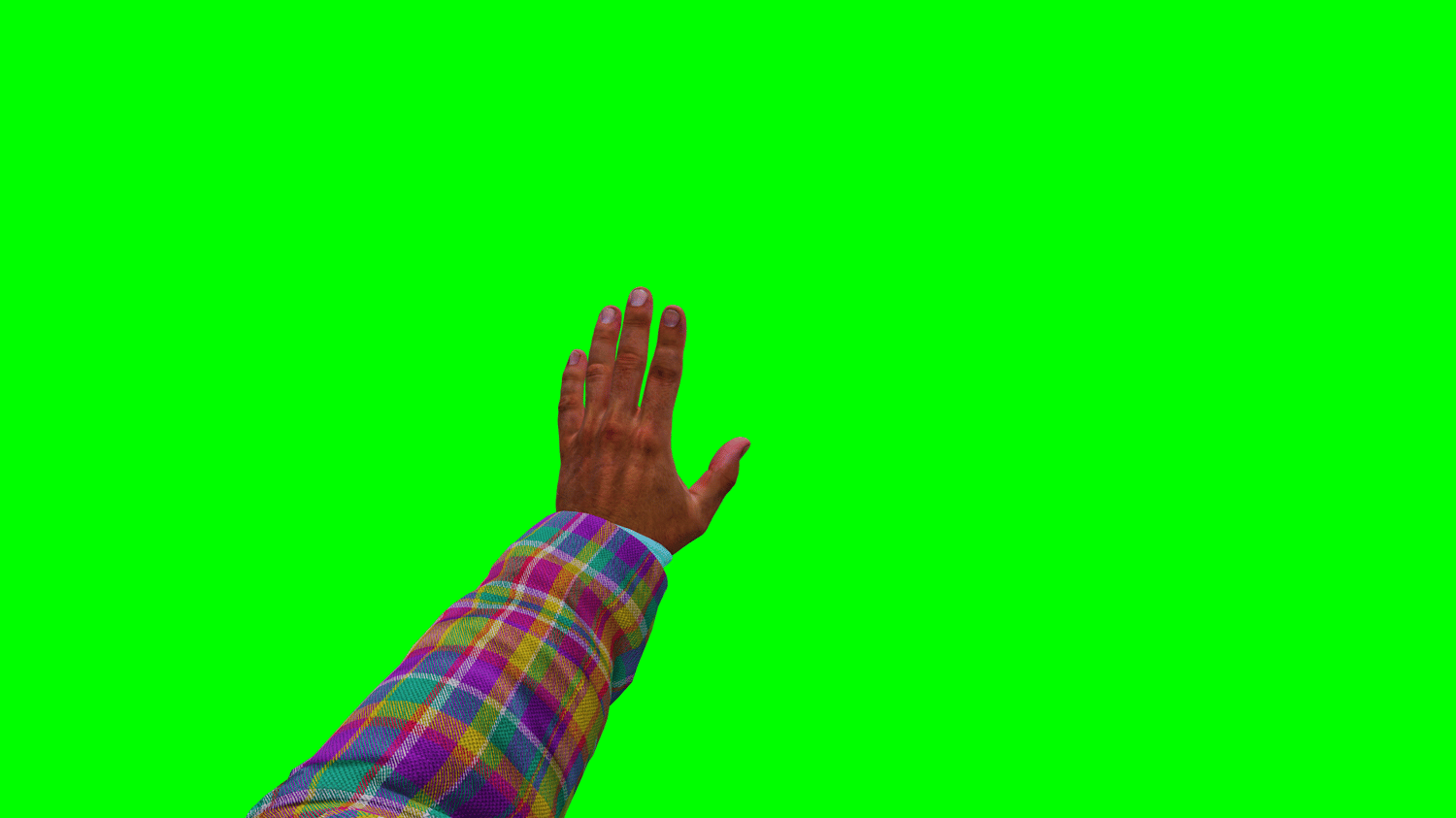 Wait Hand Gesture