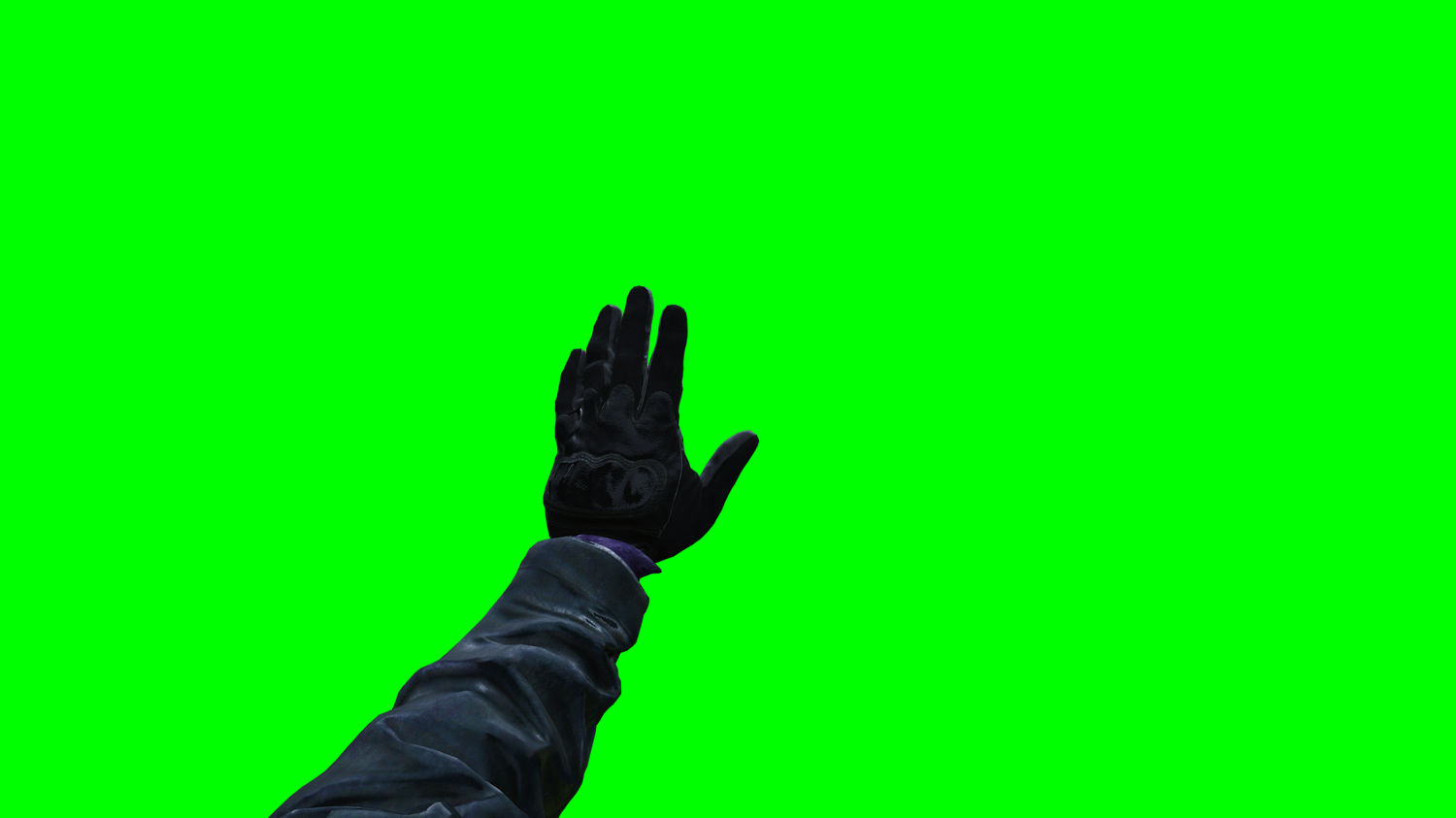 Wait Hand Gesture