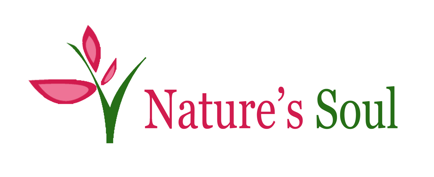 Nature's Soul by Virginia Jamieson
