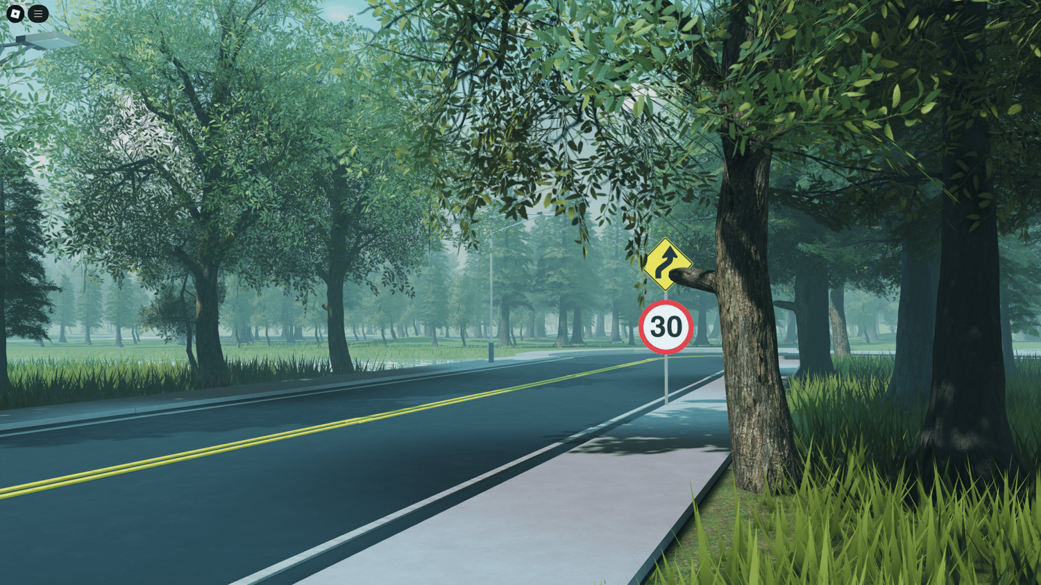 Detailed road system with working streetlights and traffic signs winding through the map.