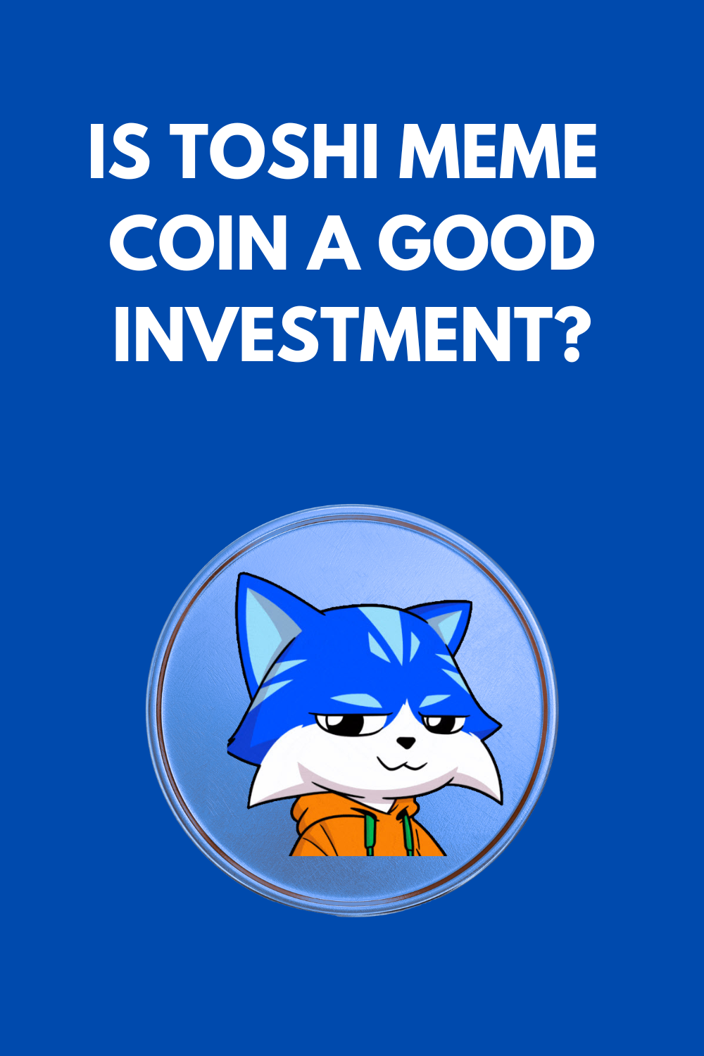 Is Toshi Meme Coin A Good Investment?