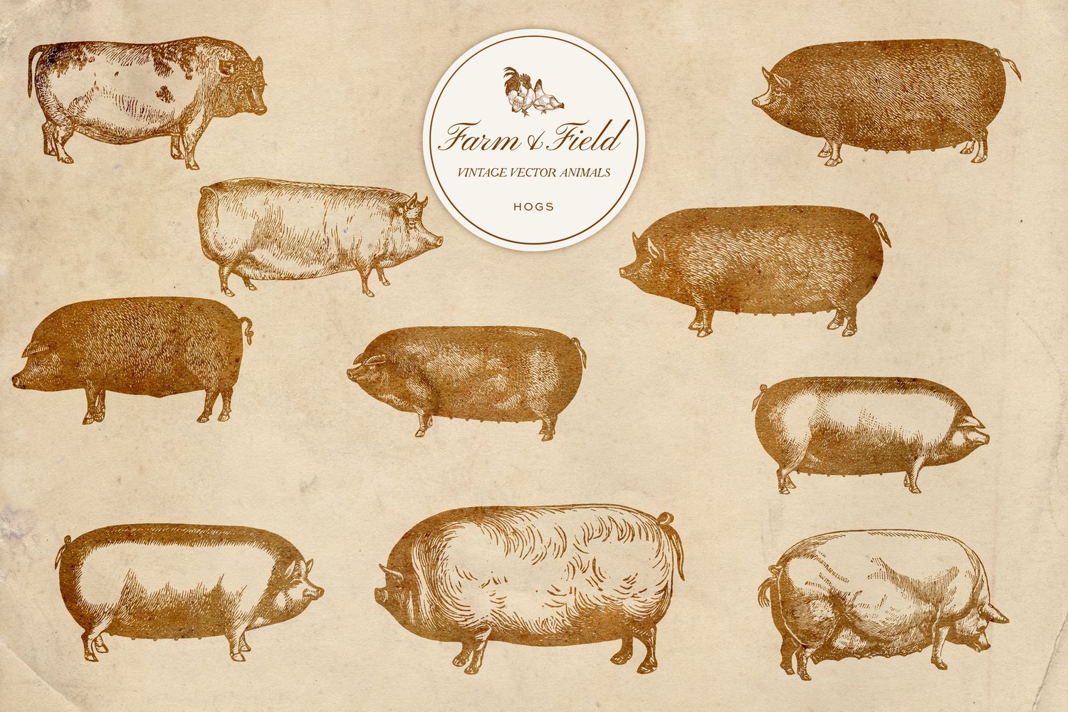 vintage vector farm and domestic animal graphic engravings