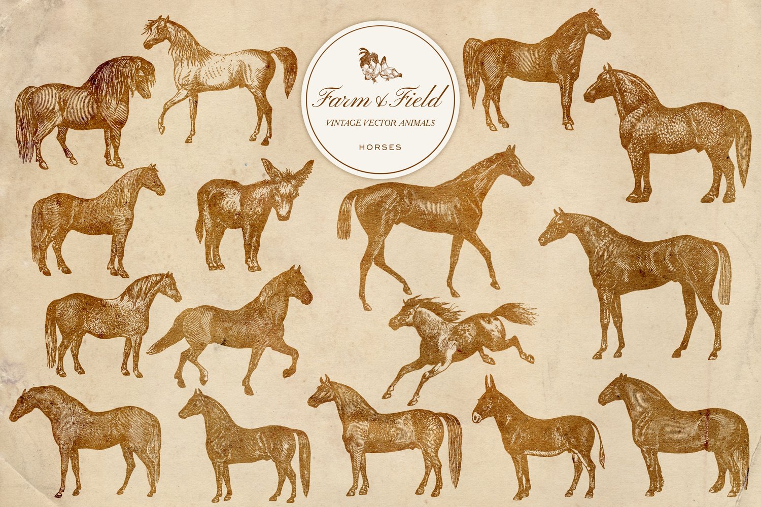 vintage vector farm and domestic animal graphic engravings